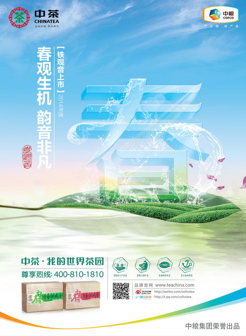 廣告設計與財務咨詢 構建品牌價值與穩(wěn)健成長的雙引擎