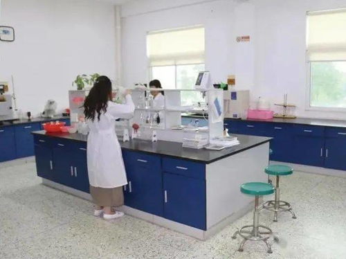 環(huán)保設(shè)施云開放丨云游潮州市第一污水處理廠 揭秘污水變清流環(huán)保咨詢服務(wù)